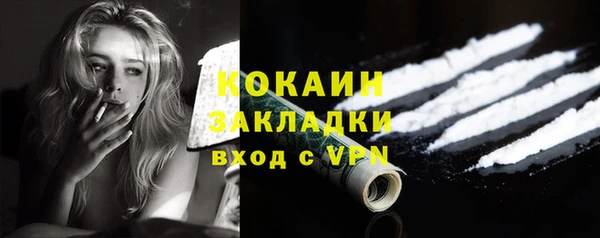 PSILOCYBIN Вяземский