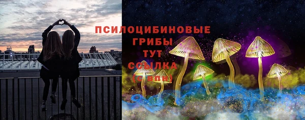гидра Алзамай